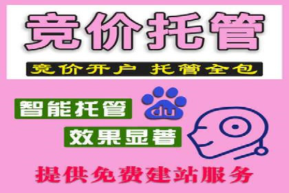 某企业sem竞价托管代运营的转型之路